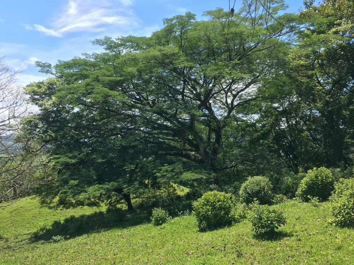 Santa Maria Hotel & Restaurant Hacienda Santa María 外观 照片